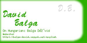 david balga business card